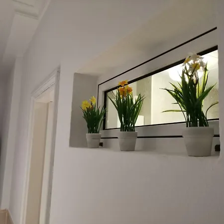 Taidia بلايا ديل إنغلز